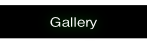 Gallery.